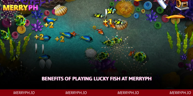 Benefits of Playing Lucky Fish at MERRYPH
