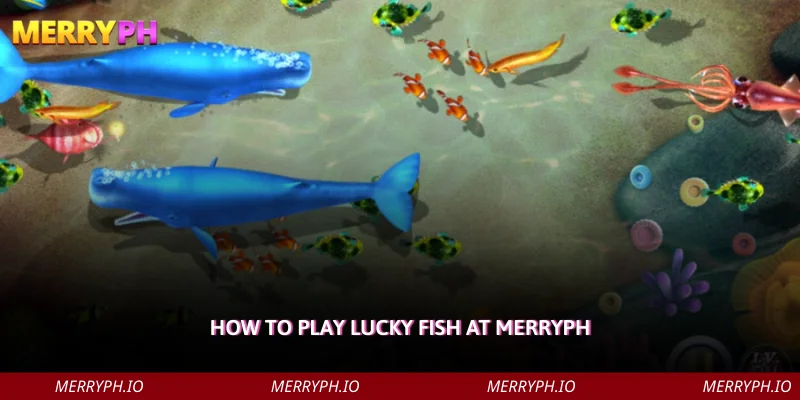 How to Play Lucky Fish at MERRYPH